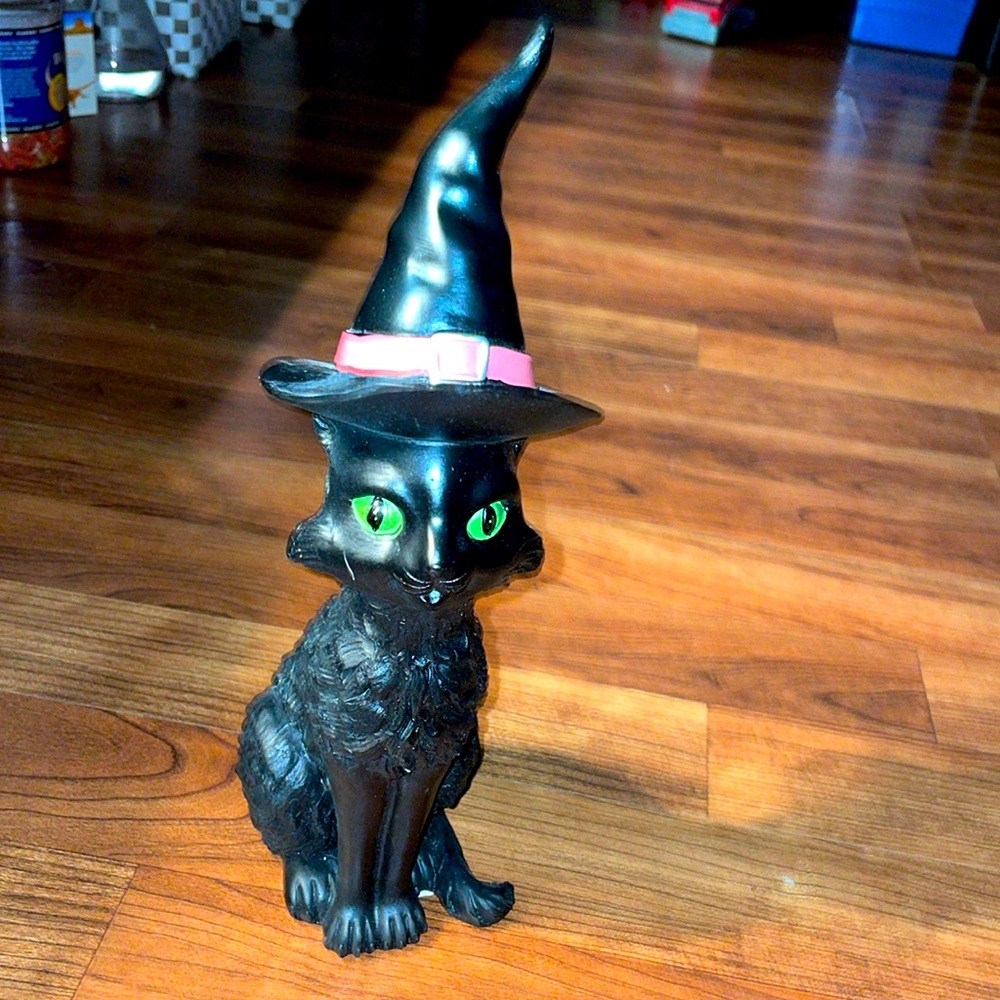 Witch cat